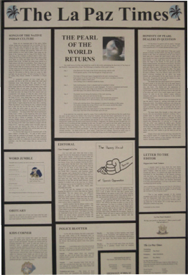 newspaper book report examples